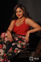 Nikesha Patel at Araku Roadlo Movie Press Meet